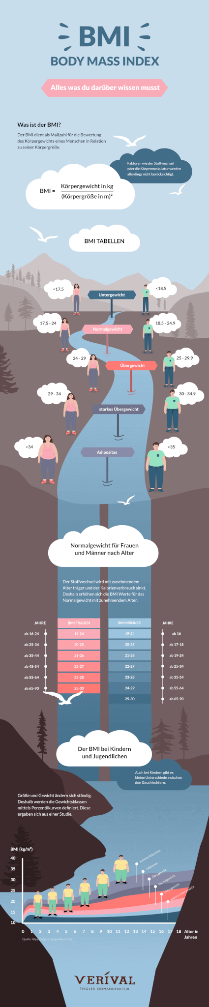 Wie erstelle ich eine Infografik? Infografik zum Thema BMI (Body Mass Index)