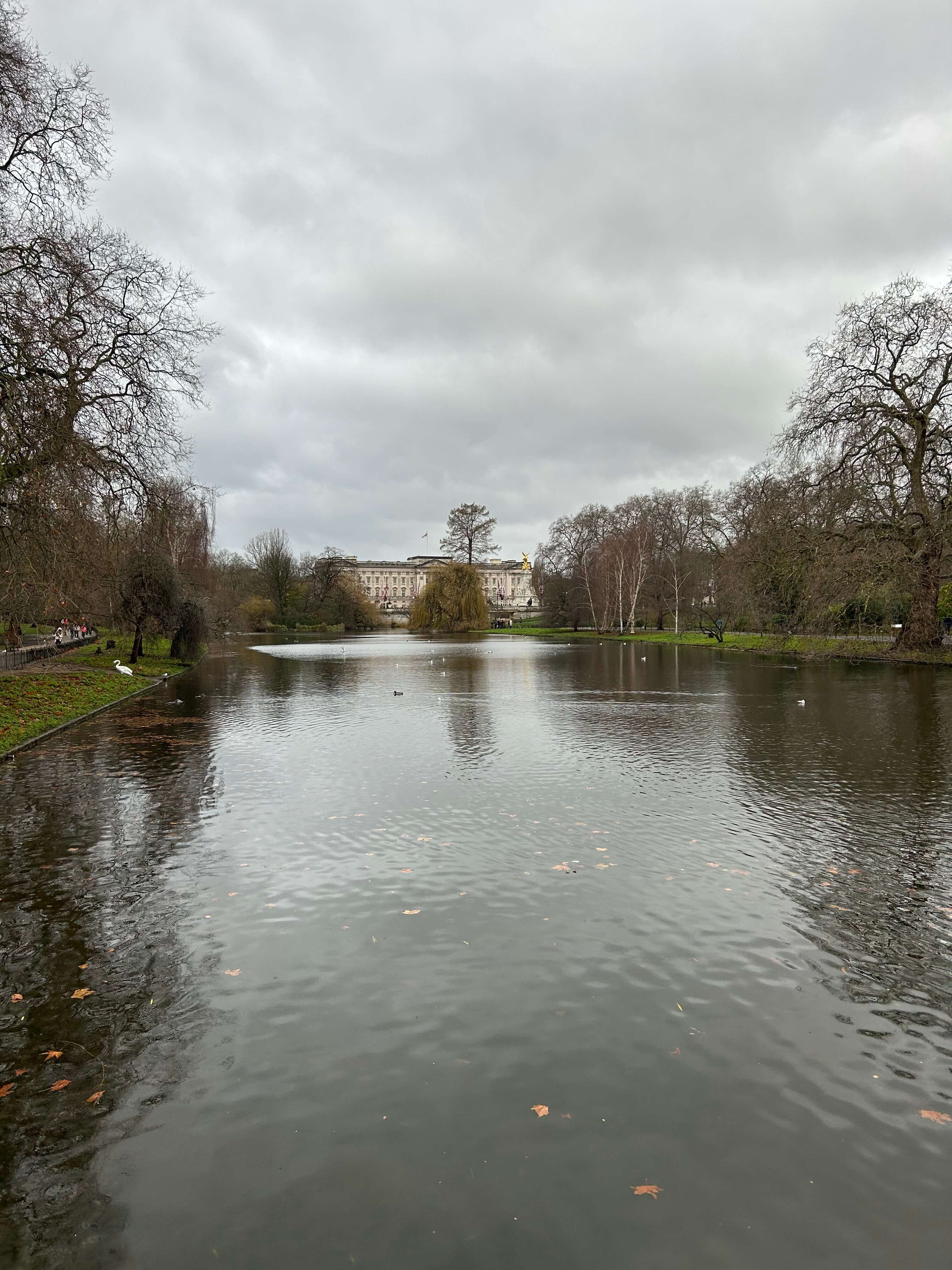 Grauer Himmel über einem Teich in einem Park, im Hintergrund ein historisches Gebäude, umgeben von kahlen Bäumen.