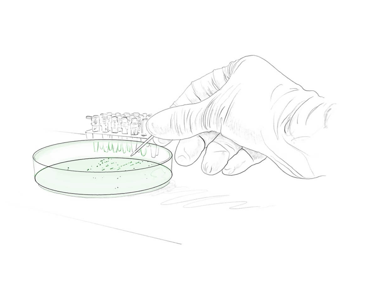 cell culture evitria